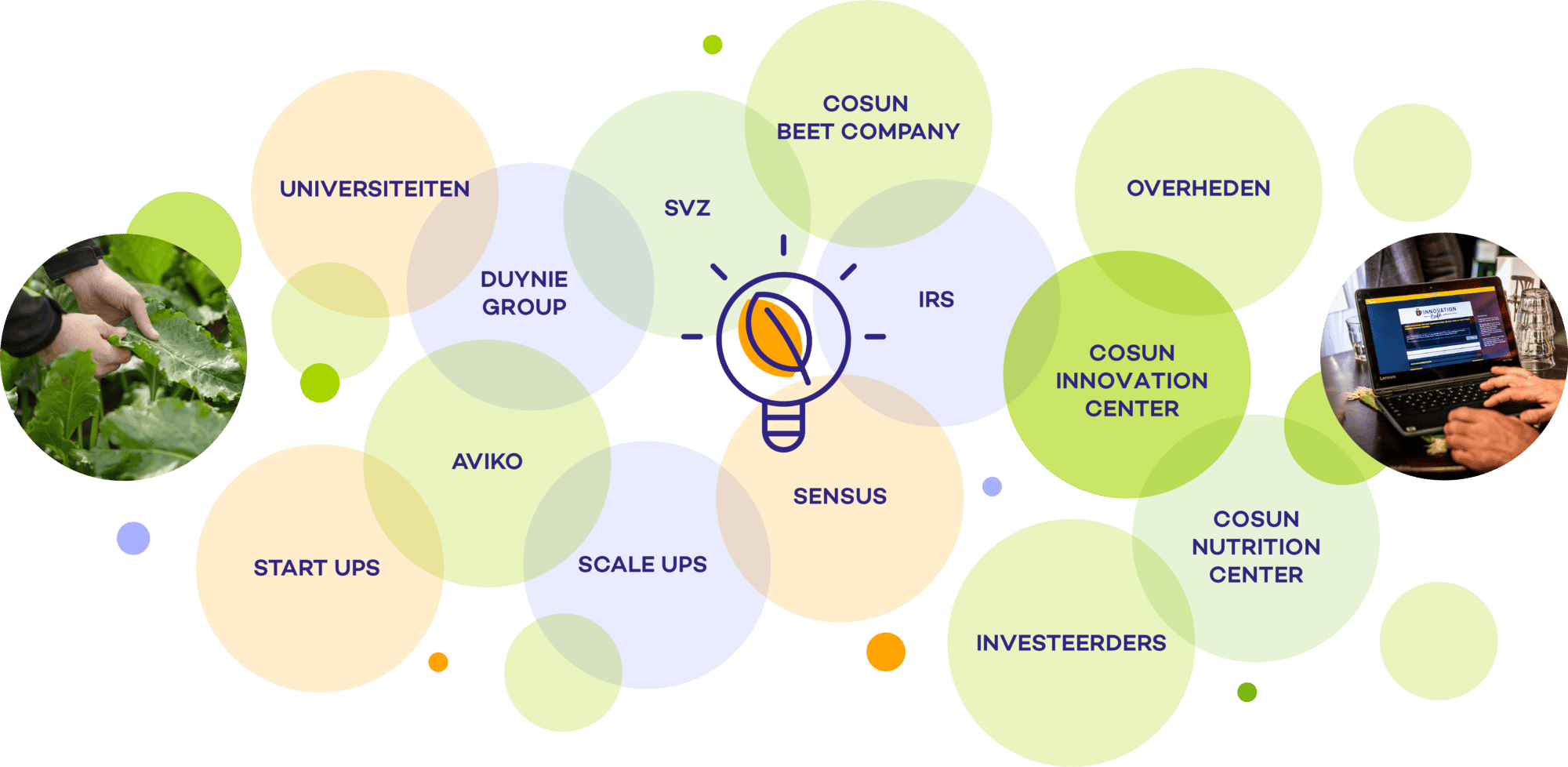 Innovatie-ecosysteem
