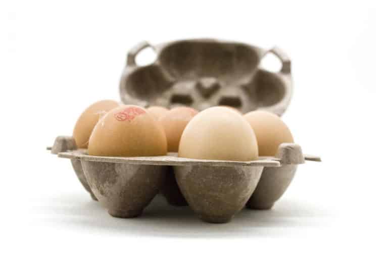 Duurzame eierdoosjes uit aardappelzetmeel