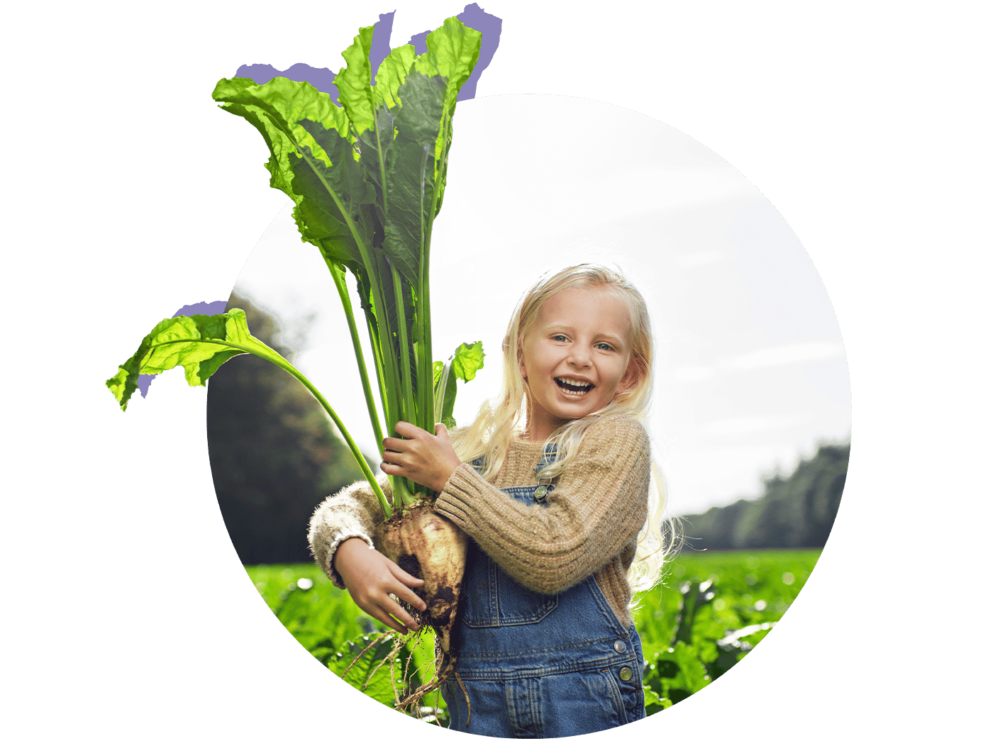 De toekomst is plant