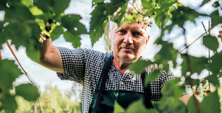 Plantaardige voeding voor ouderen: hoe vind je de juiste balans?