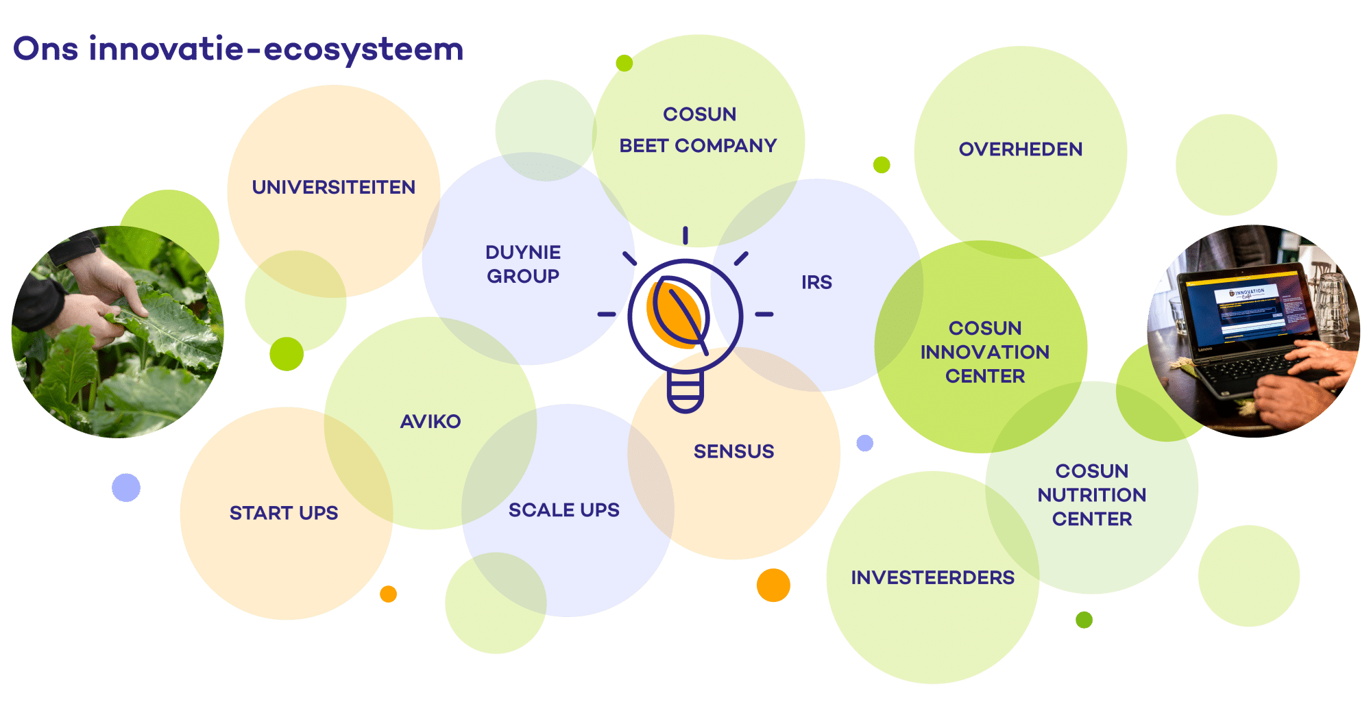 Innovatie-ecosysteem