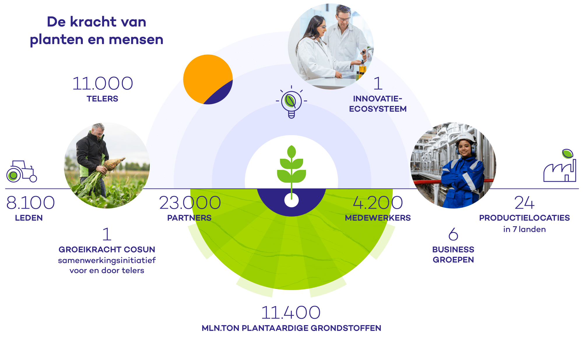 Cosun: de plantaardige coöperatie